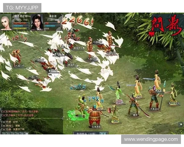 问鼎vip5图片大揭秘，带你一览VIP5等级的豪华特权和独家专属视觉效果