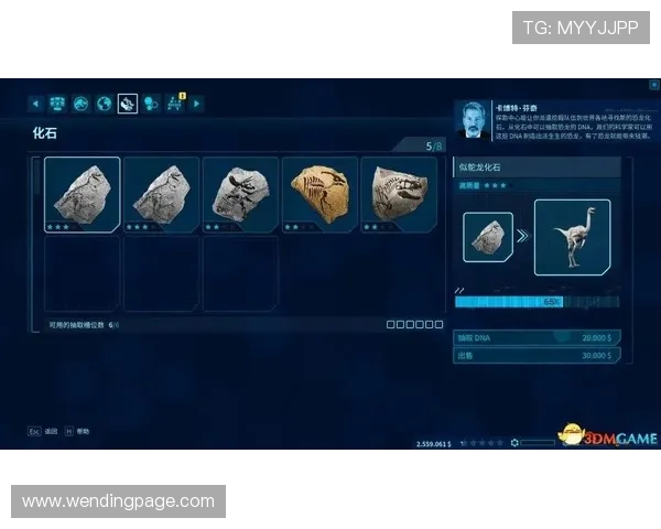 问鼎在线官网首页详细攻略指南帮助新手玩家快速上手游戏体验丰富内容