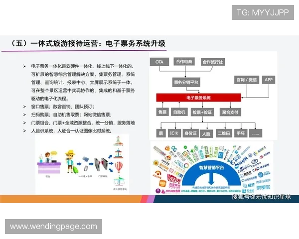 问鼎中国官网：结合大数据分析实现精准营销的有效途径